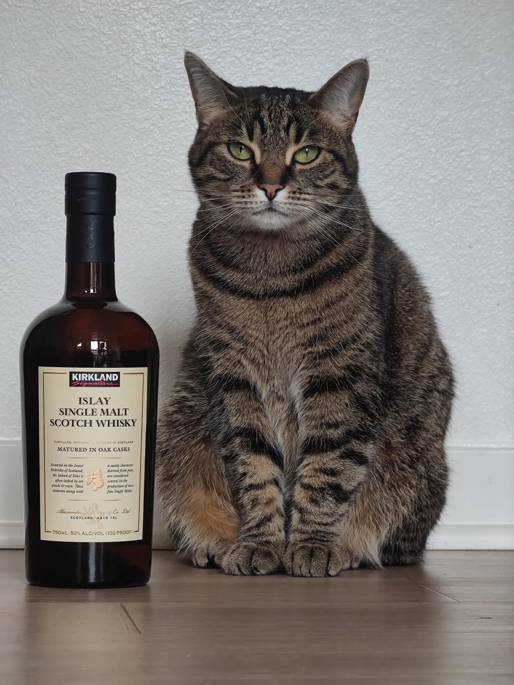 Collection photograph filed under the owner-supplied working label “Kirkland Islay”; bottle facts await review.