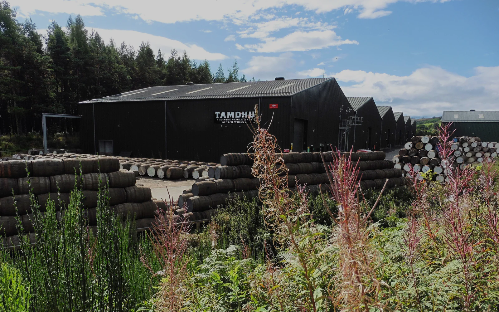 Landscape photograph of Tamdhu distillery.