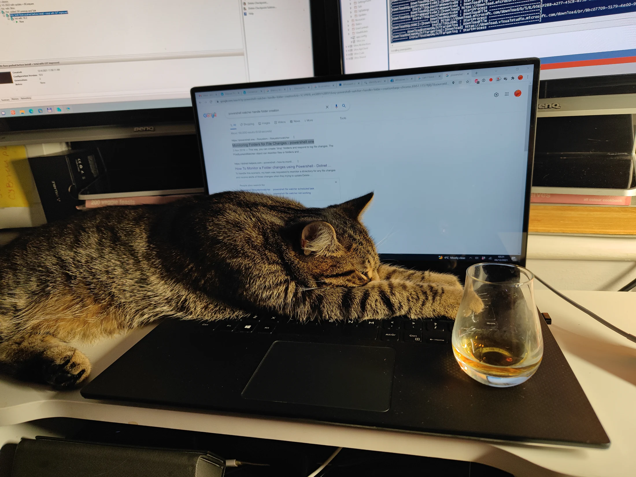 Lynxy stretched across a laptop at a working desk.