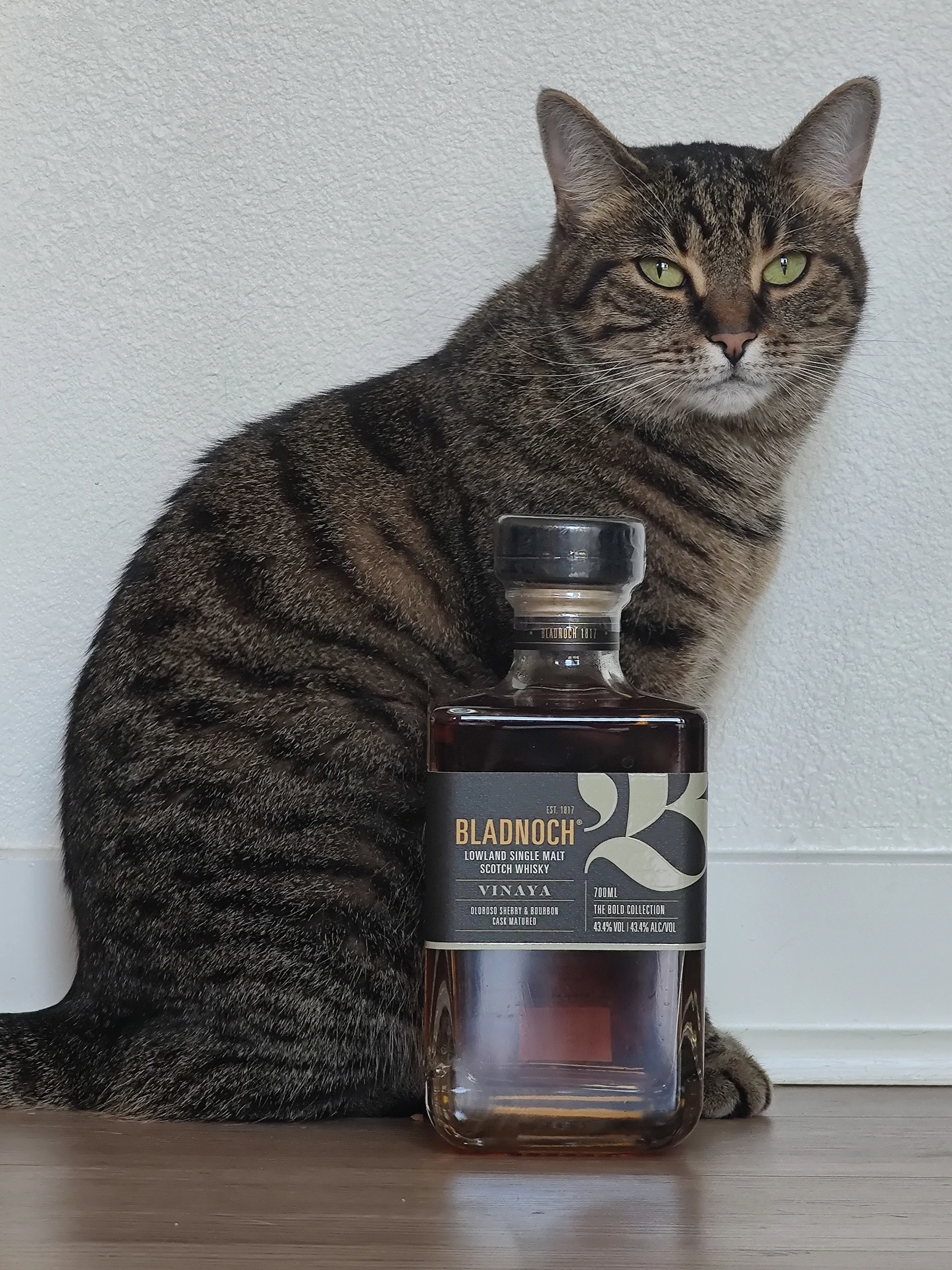 Collection photograph filed under the owner-supplied working label “Bladnoch”; bottle facts await review.