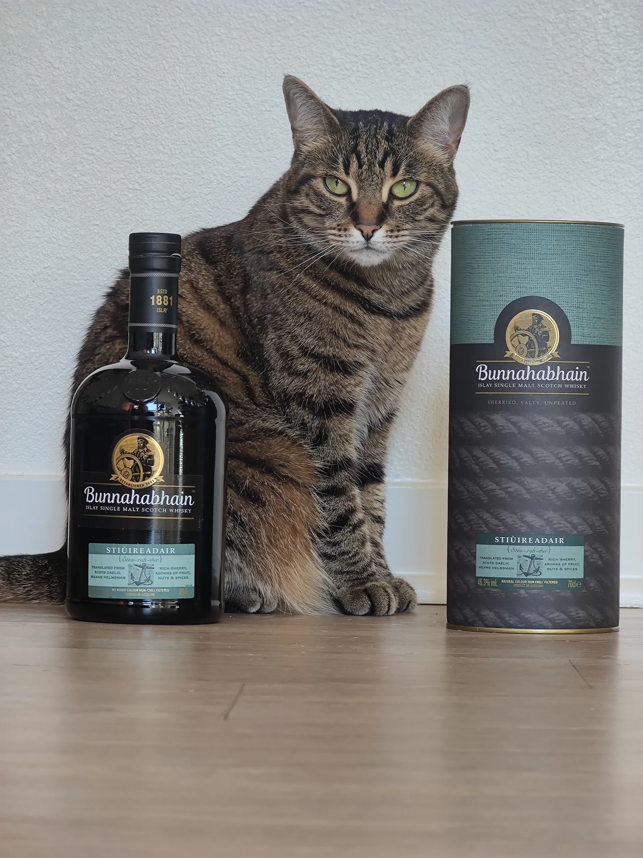 Collection photograph filed under the owner-supplied working label “Stiuireadair”; bottle facts await review.