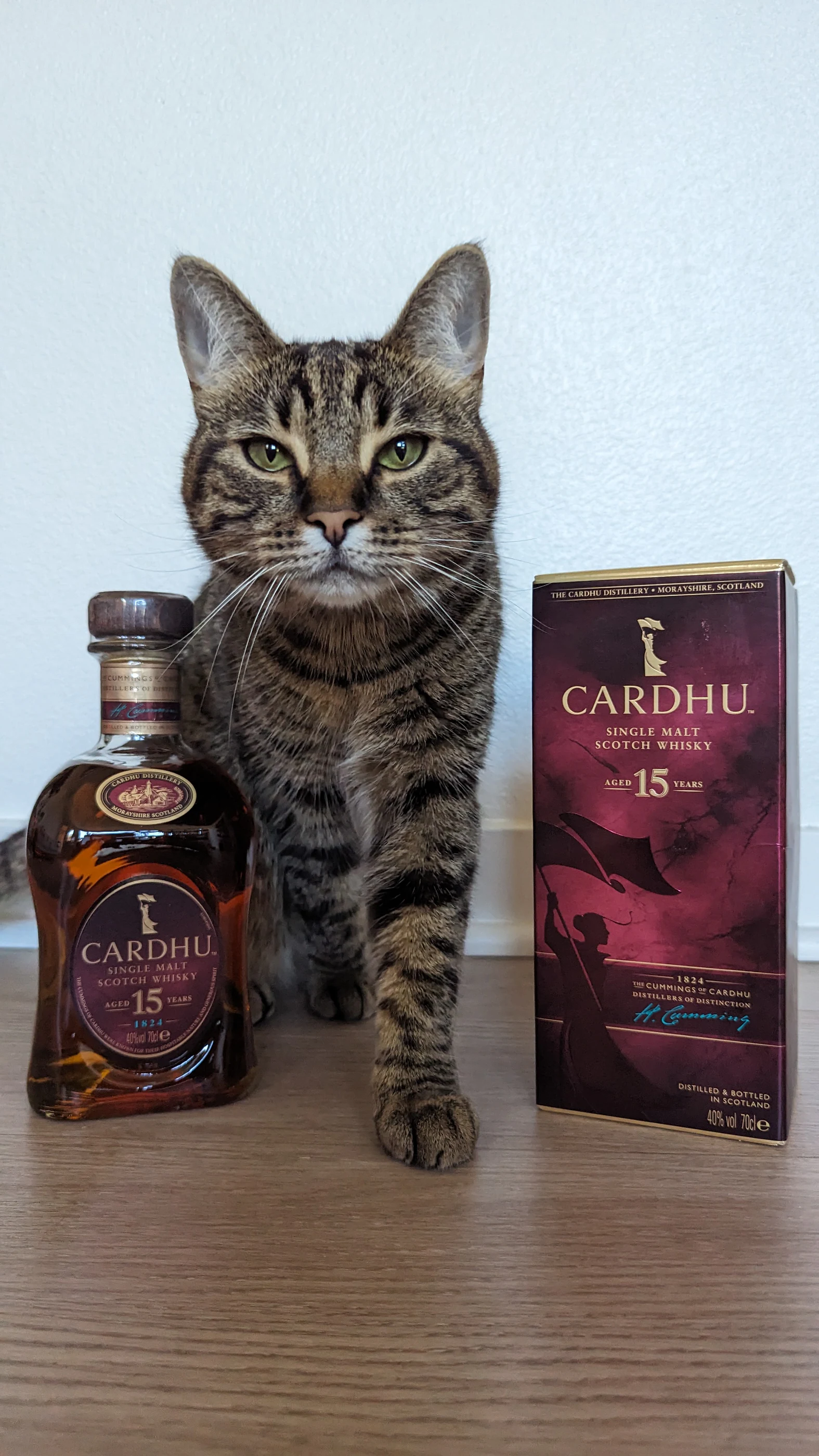 Collection photograph filed under the owner-supplied working label “Cardhu 15”; bottle facts await review.