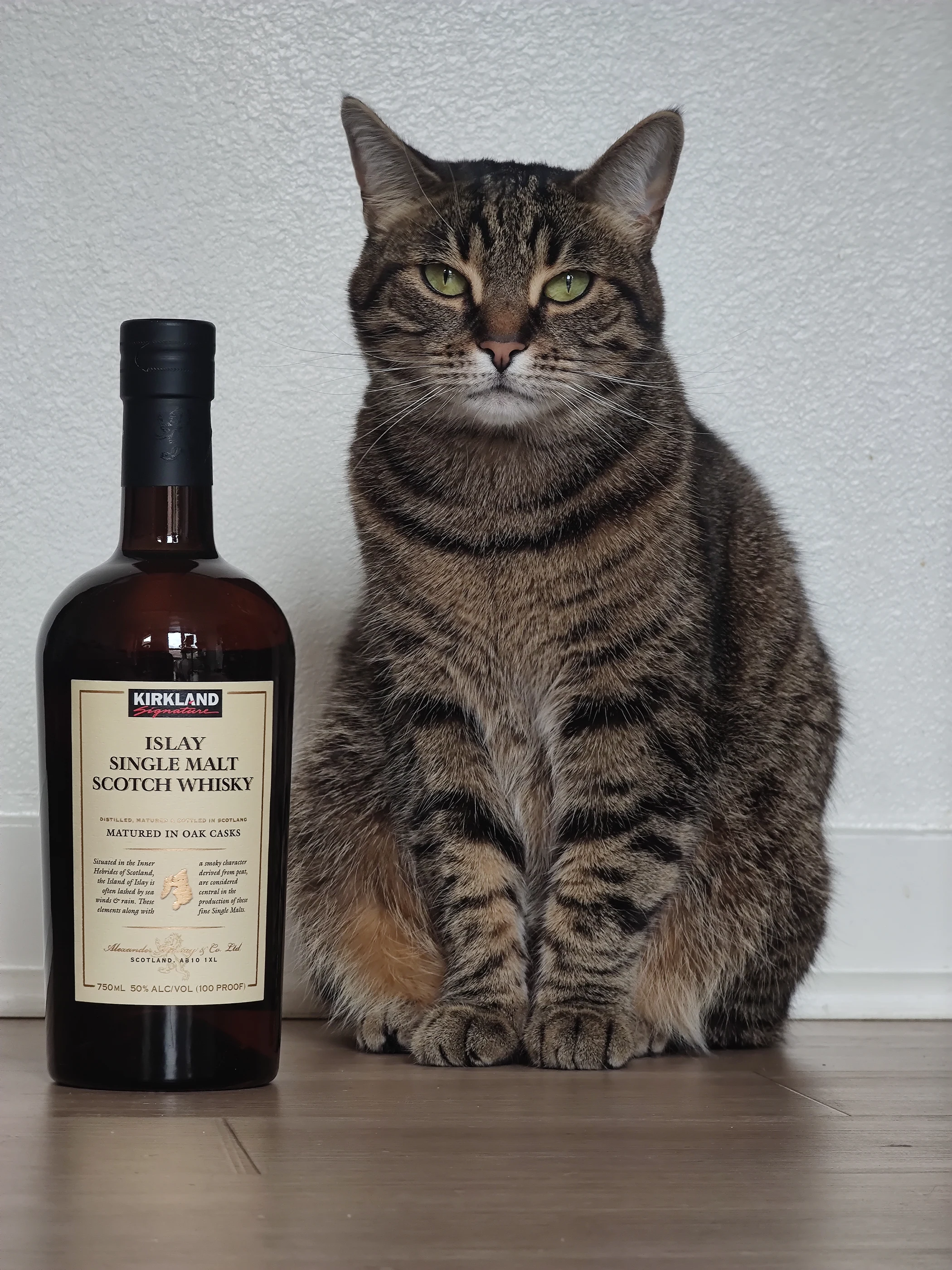 Collection photograph filed under the owner-supplied working label “Kirkland Islay”; bottle facts await review.