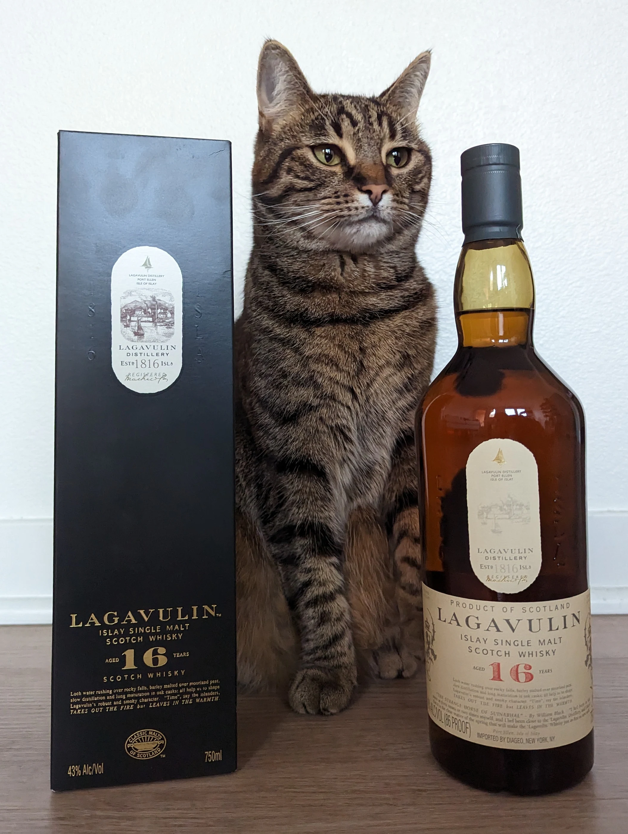 Collection photograph filed under the owner-supplied working label “Lagavulin 16”; bottle facts await review.