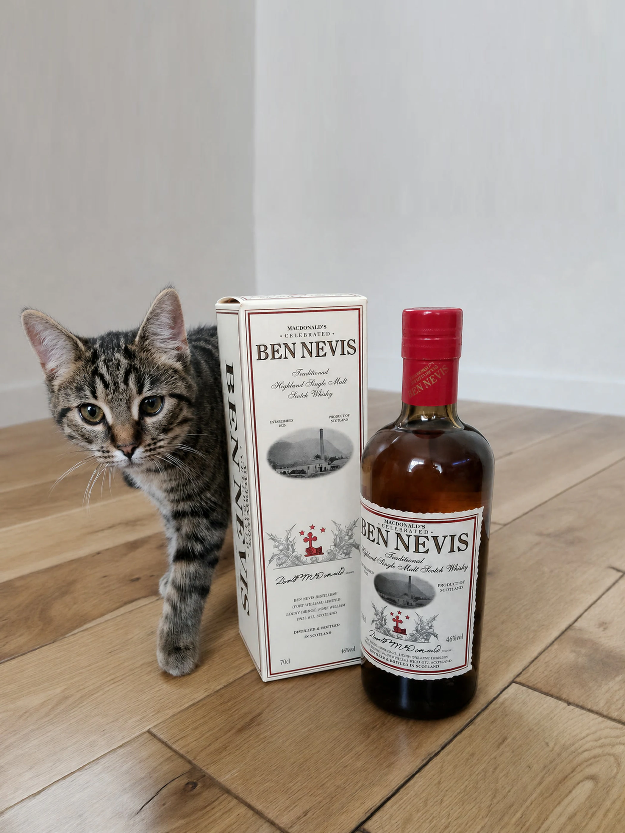 Collection photograph filed under the owner-supplied working label “Ben Nevis”; bottle facts await review.