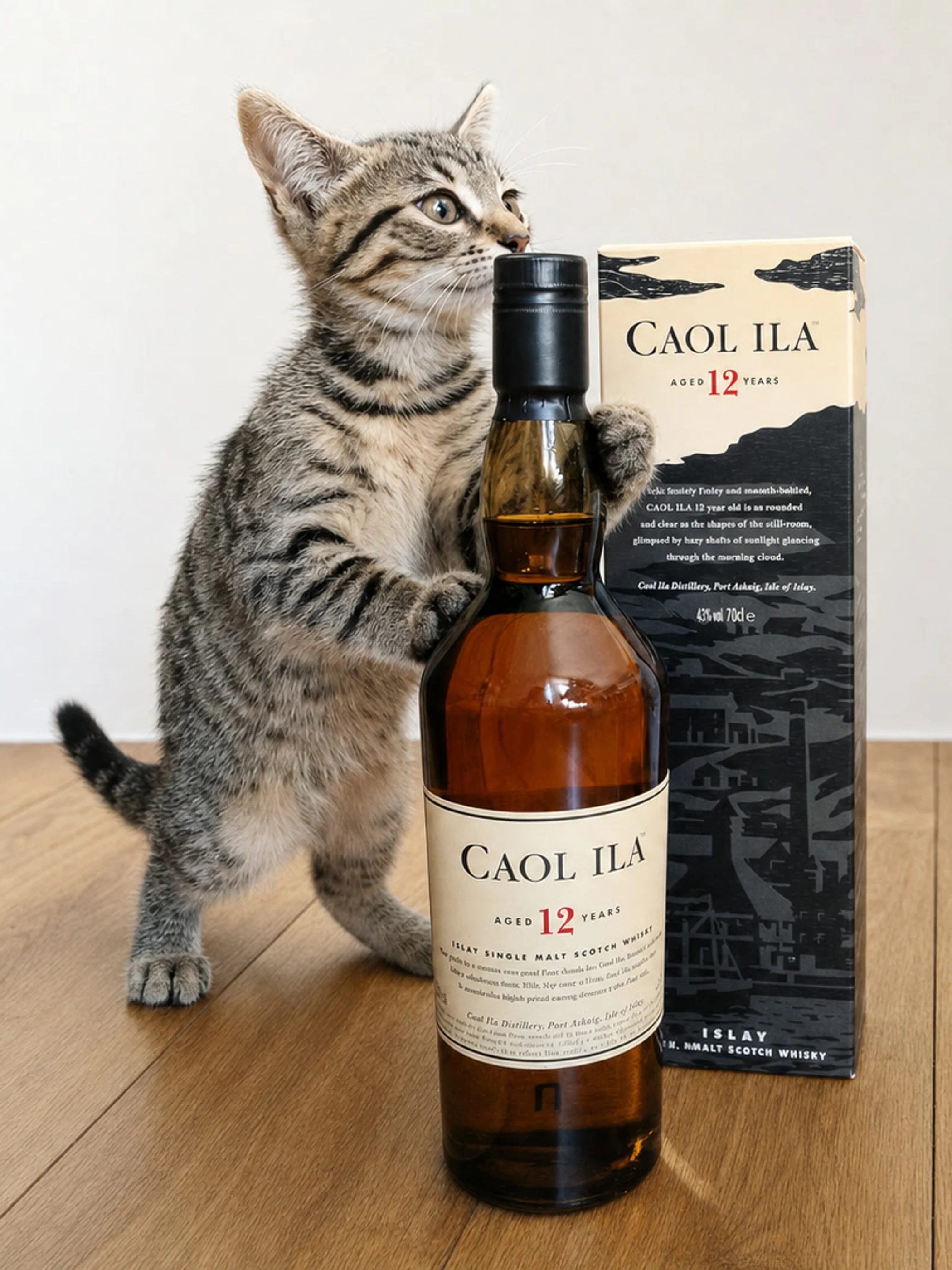 Collection photograph filed under the owner-supplied working label “Caol Ila 12”; bottle facts await review.