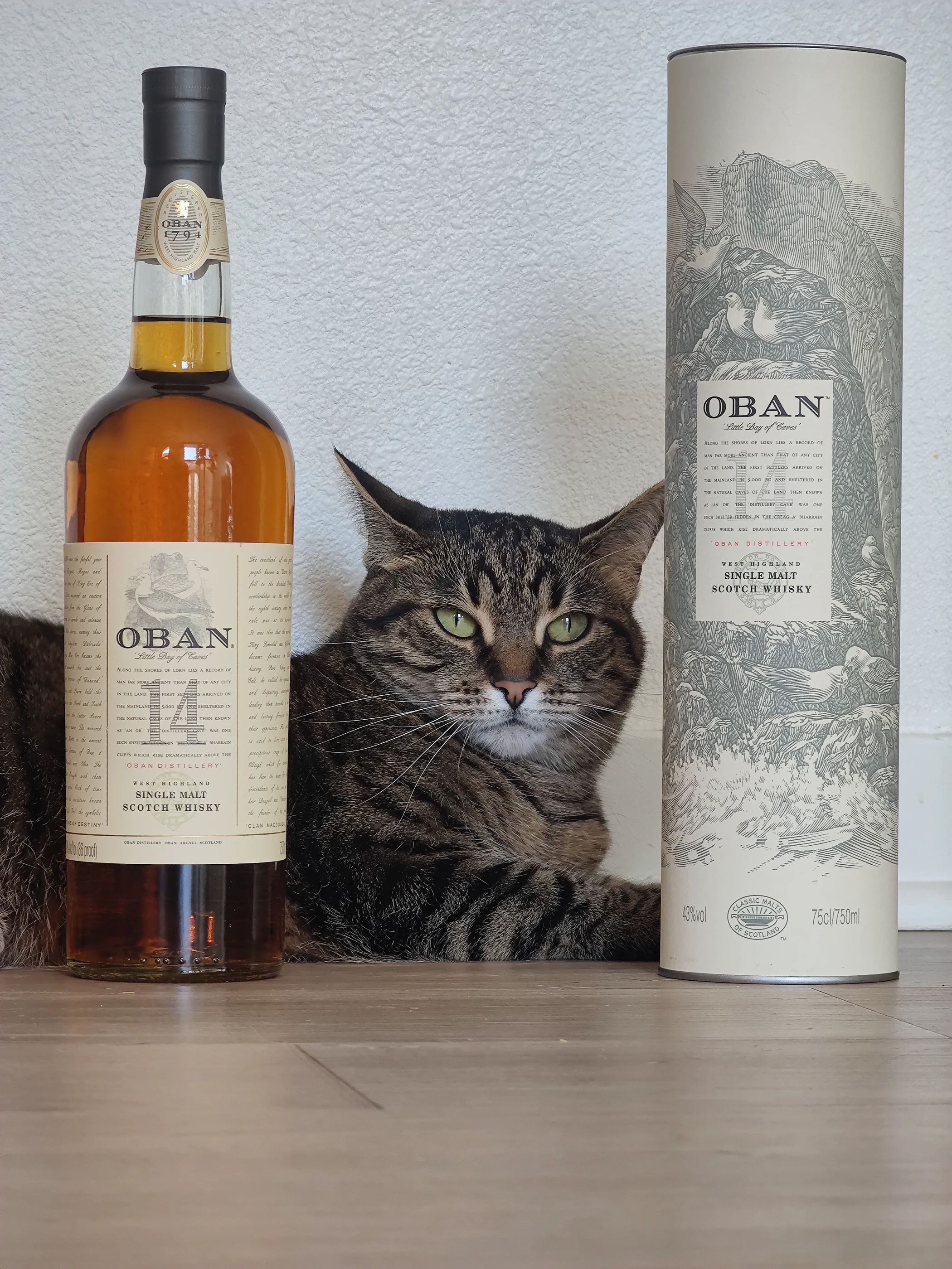 Collection photograph filed under the owner-supplied working label “Oban 14”; bottle facts await review.