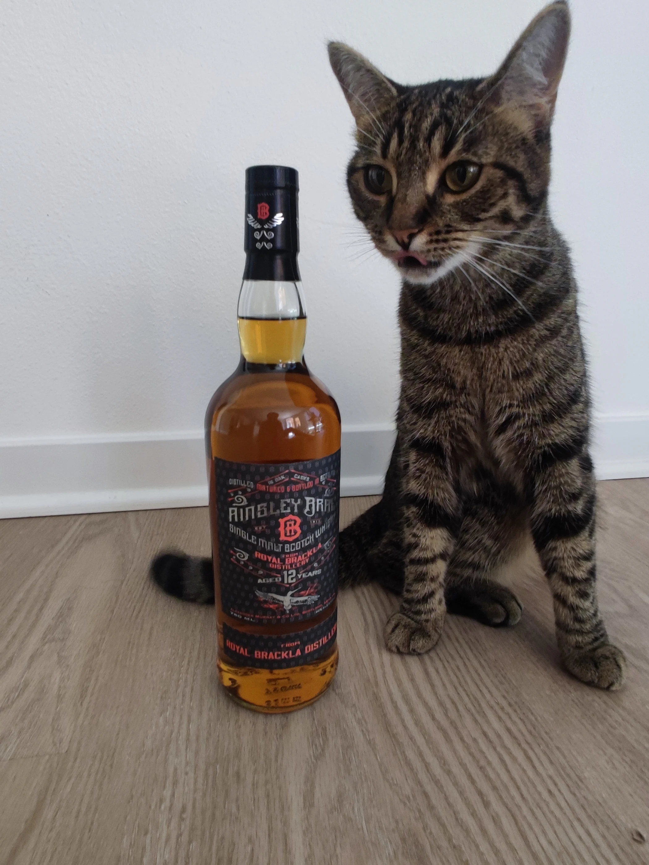 Collection photograph filed under the owner-supplied working label “Royal Brackla 12”; bottle facts await review.