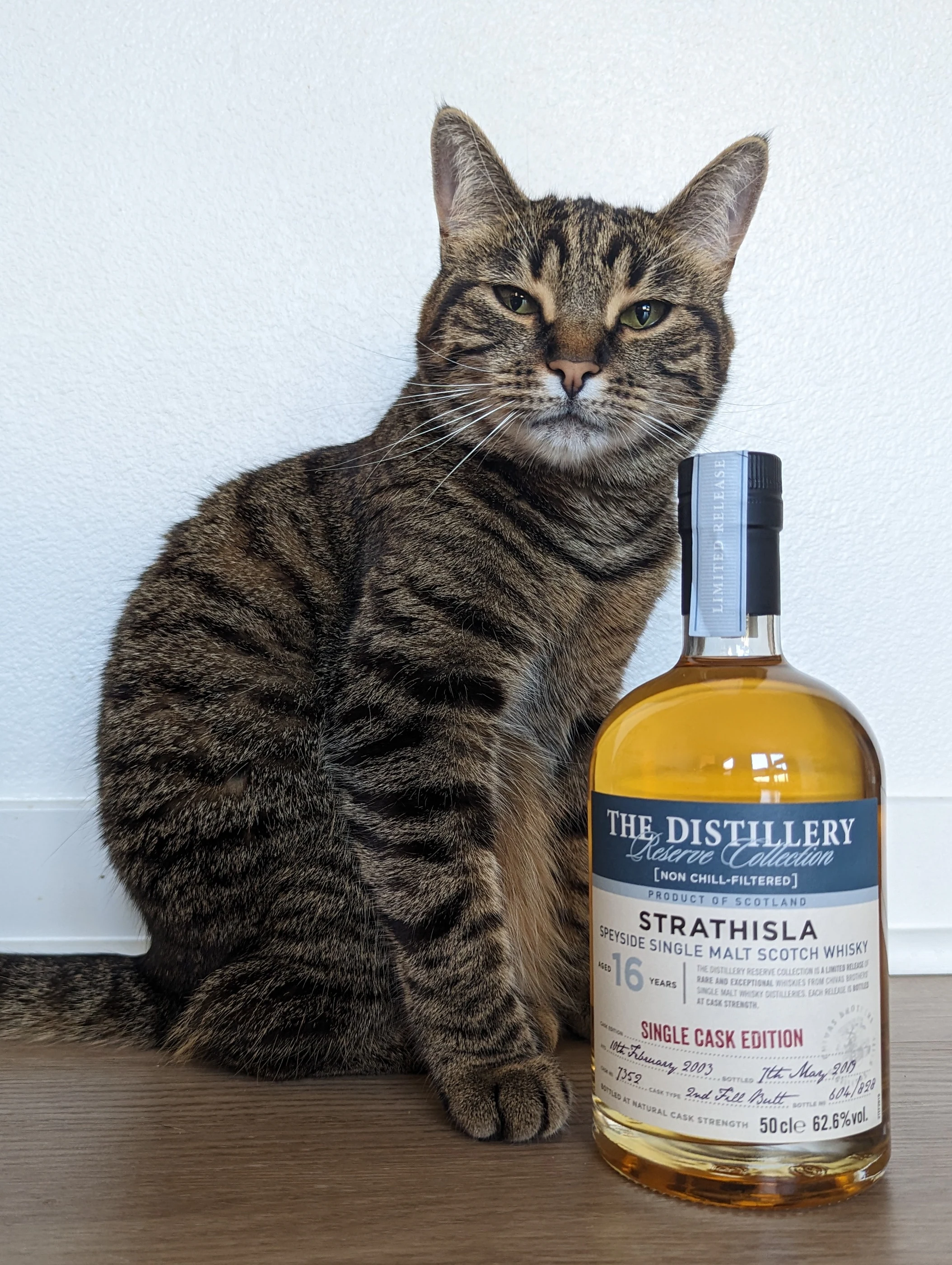 Collection photograph filed under the owner-supplied working label “Strathisla 16”; bottle facts await review.