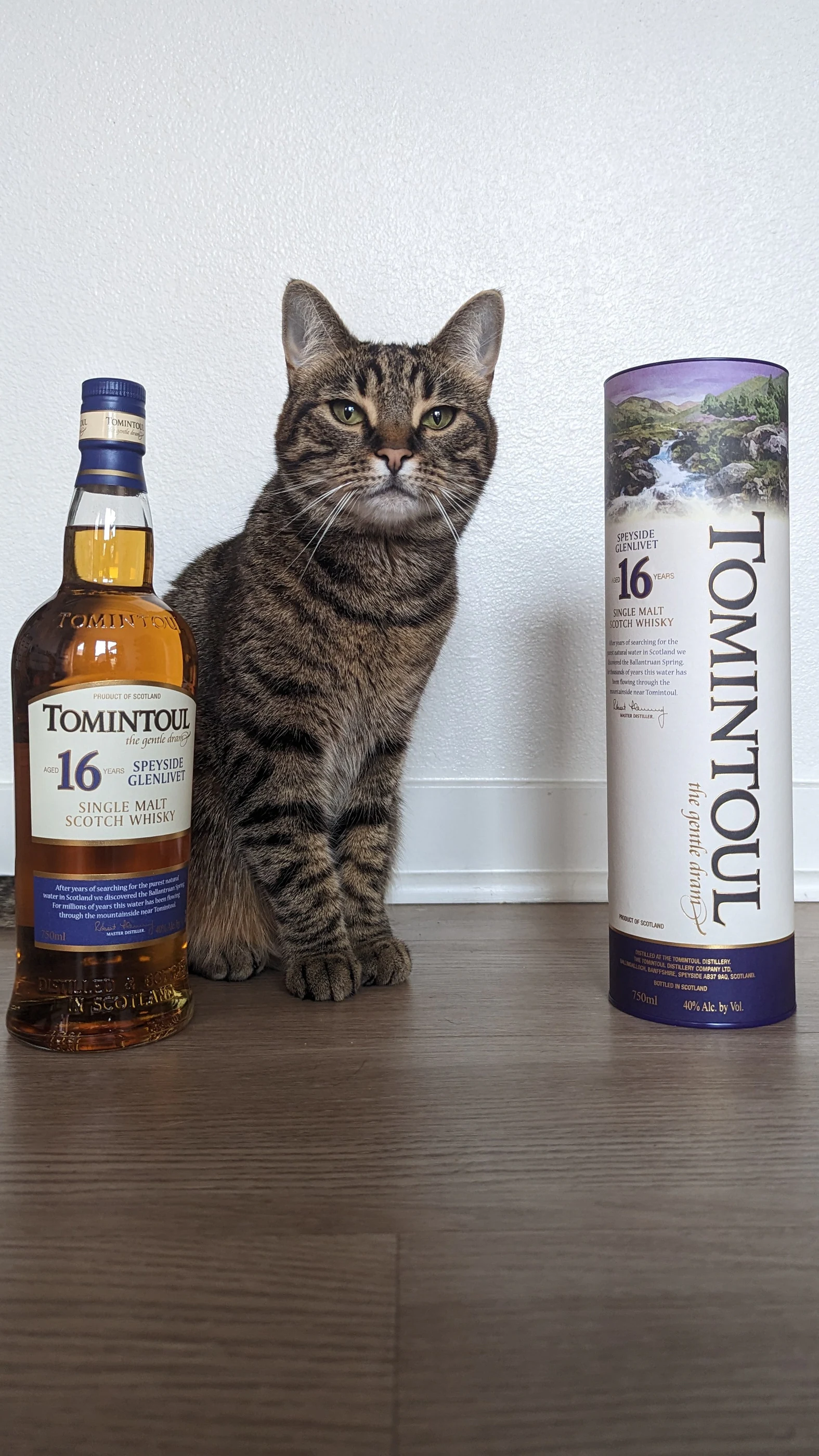 Collection photograph filed under the owner-supplied working label “Tomintoul 16”; bottle facts await review.
