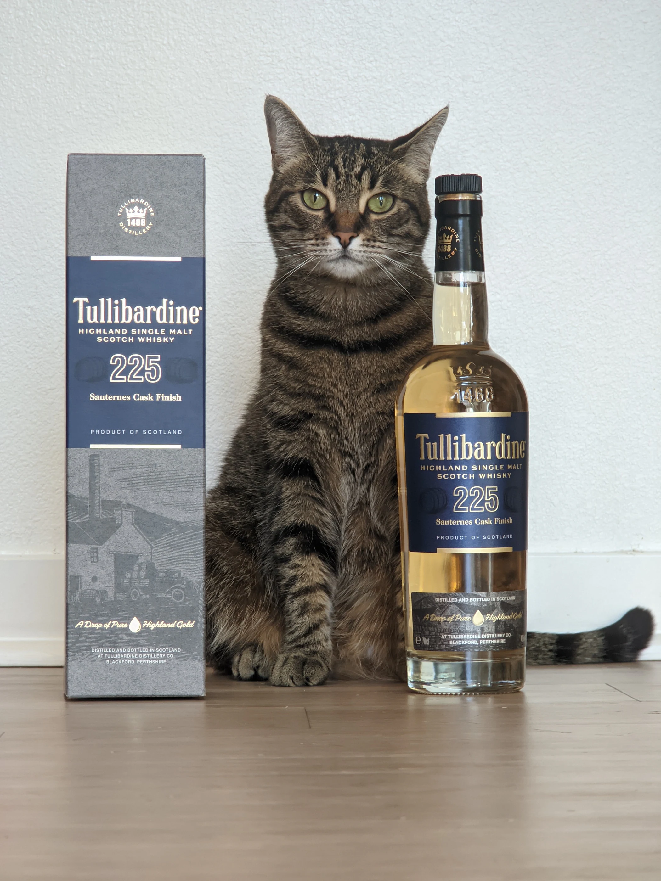 Collection photograph filed under the owner-supplied working label “Tullibardine 225”; bottle facts await review.
