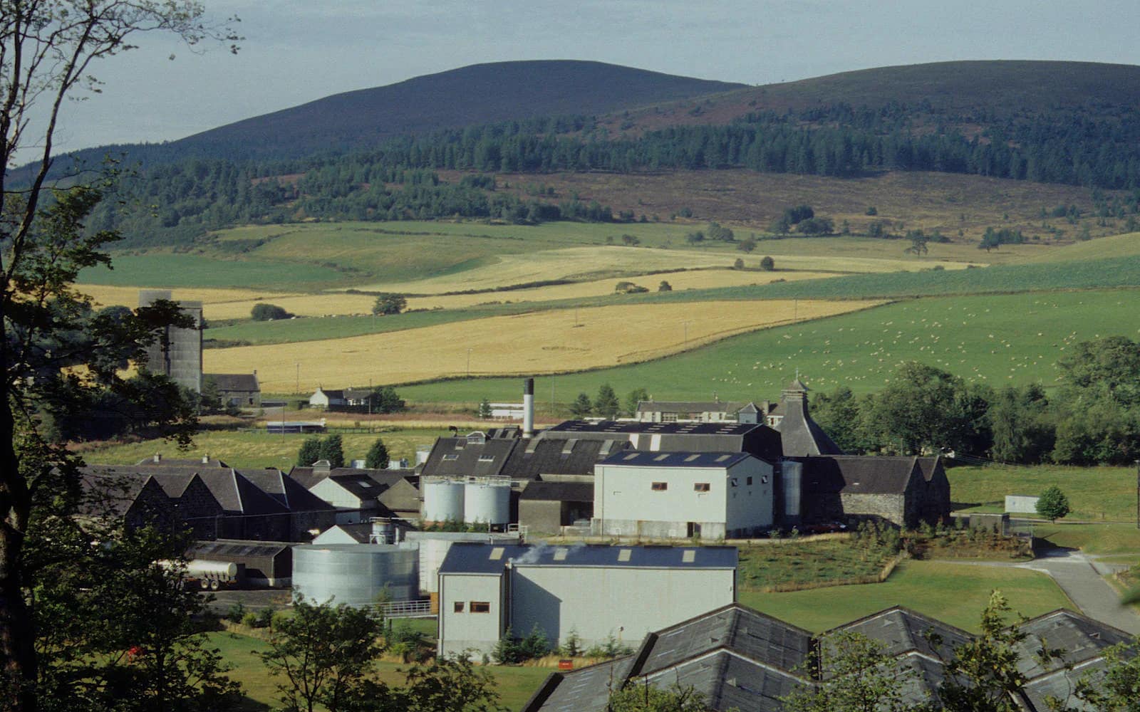 Landscape photograph of Kininvie distillery.