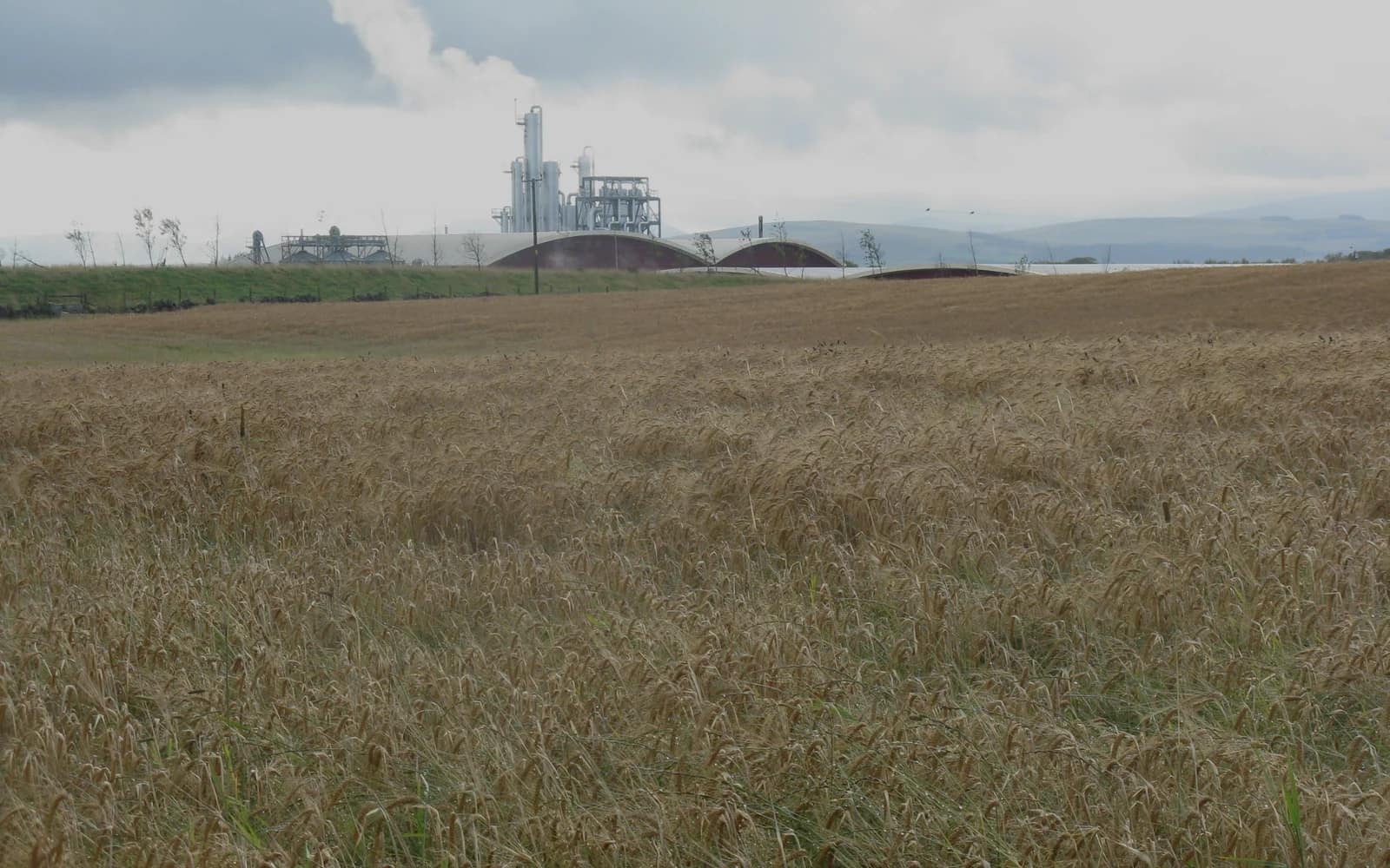 Landscape photograph of Starlaw distillery.