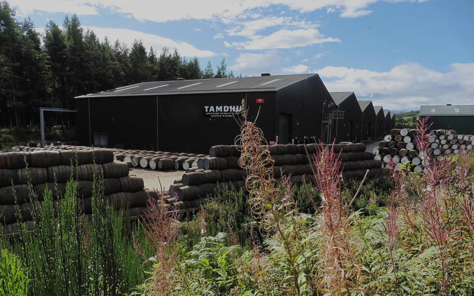Landscape photograph of Tamdhu distillery.