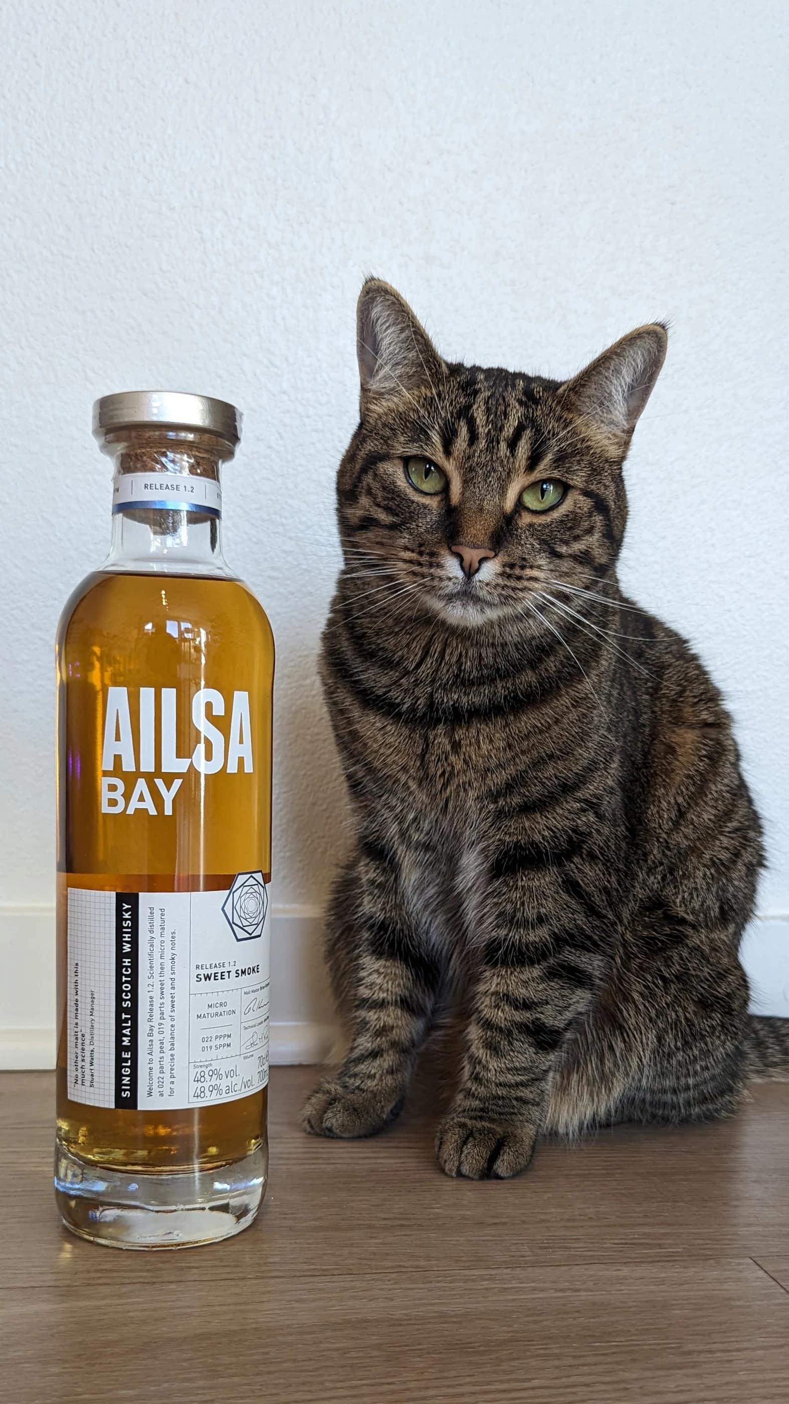 Collection photograph filed under the owner-supplied working label “Ailsa Bay”; bottle facts await review.