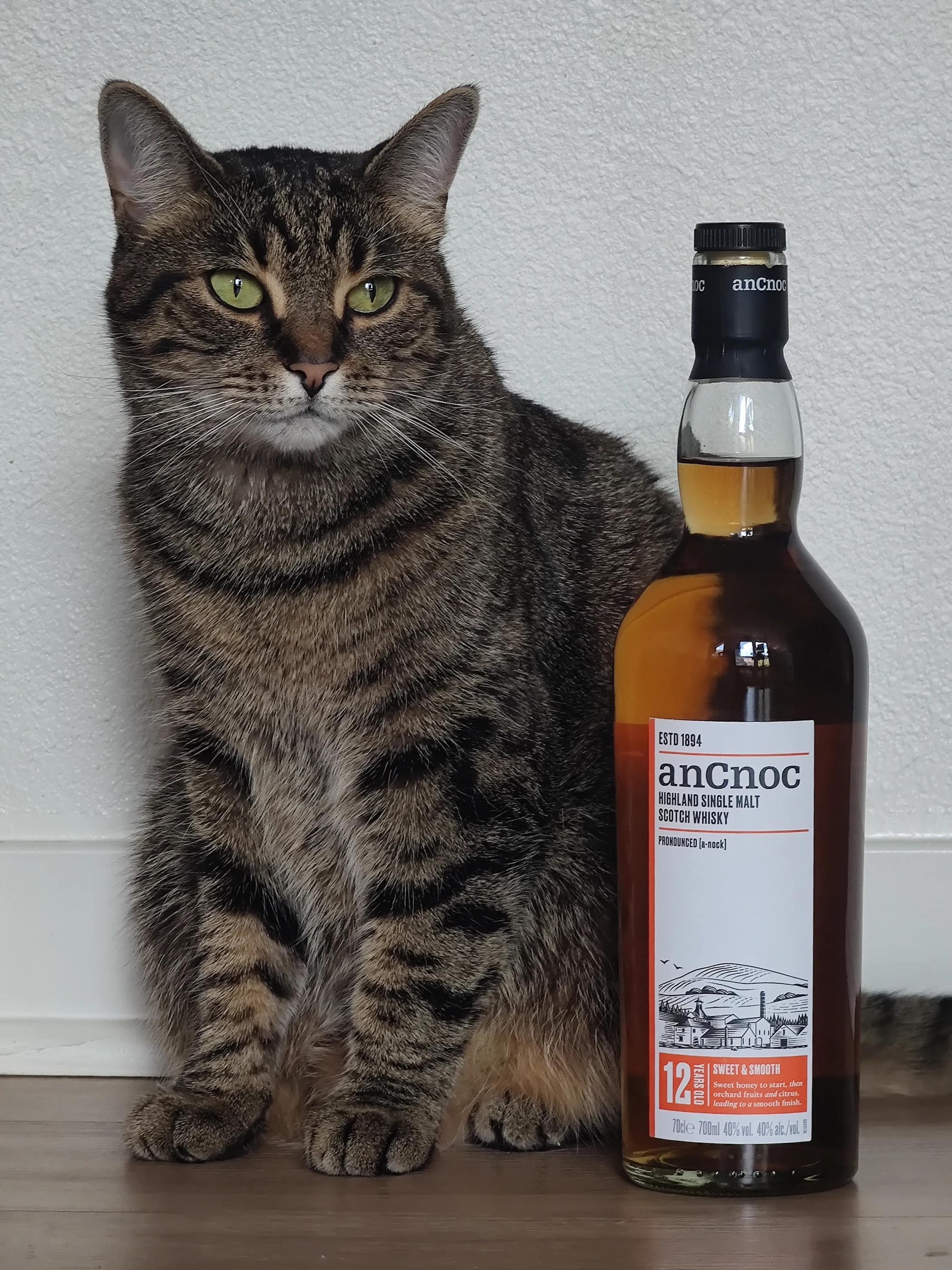 Collection photograph filed under the owner-supplied working label “anCnoc 12”; bottle facts await review.