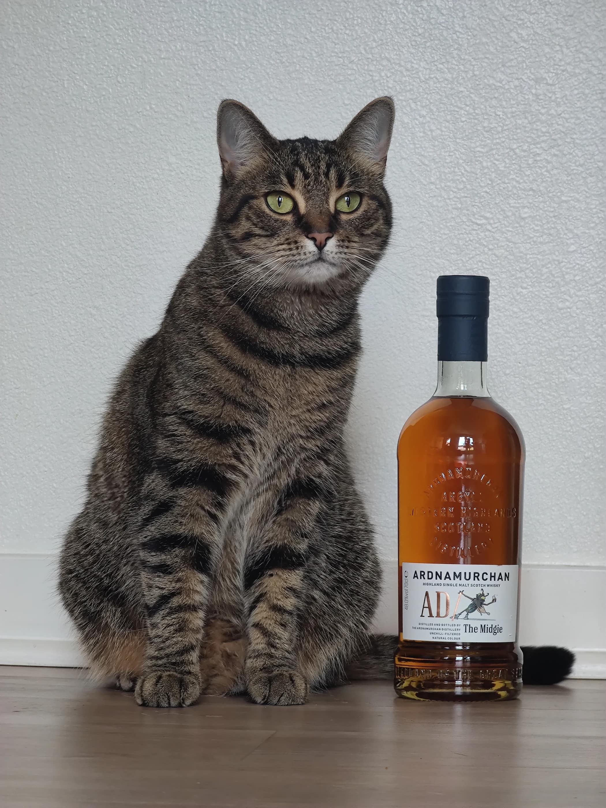 Collection photograph filed under the owner-supplied working label “Midgies”; bottle facts await review.