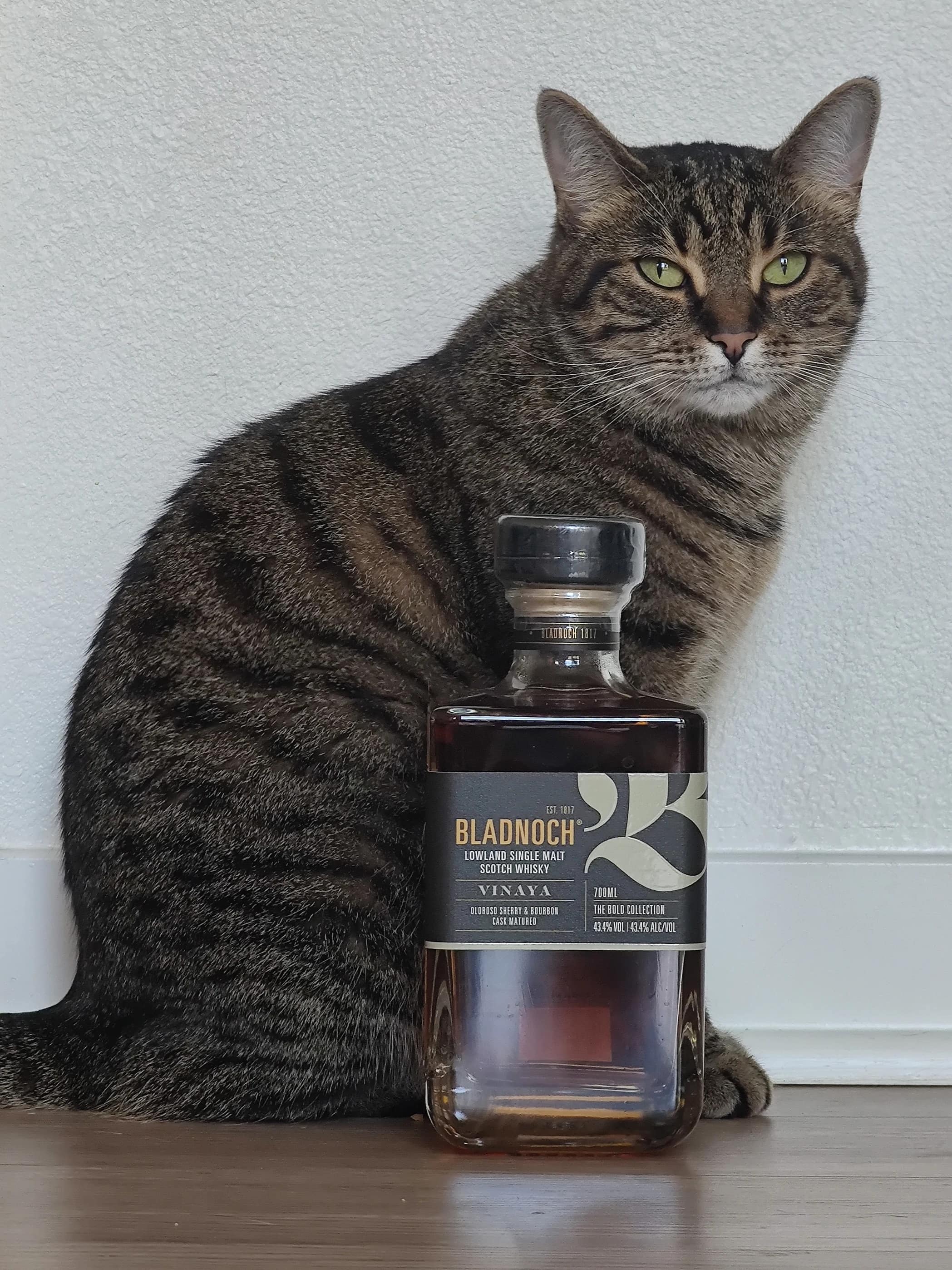 Collection photograph filed under the owner-supplied working label “Bladnoch”; bottle facts await review.