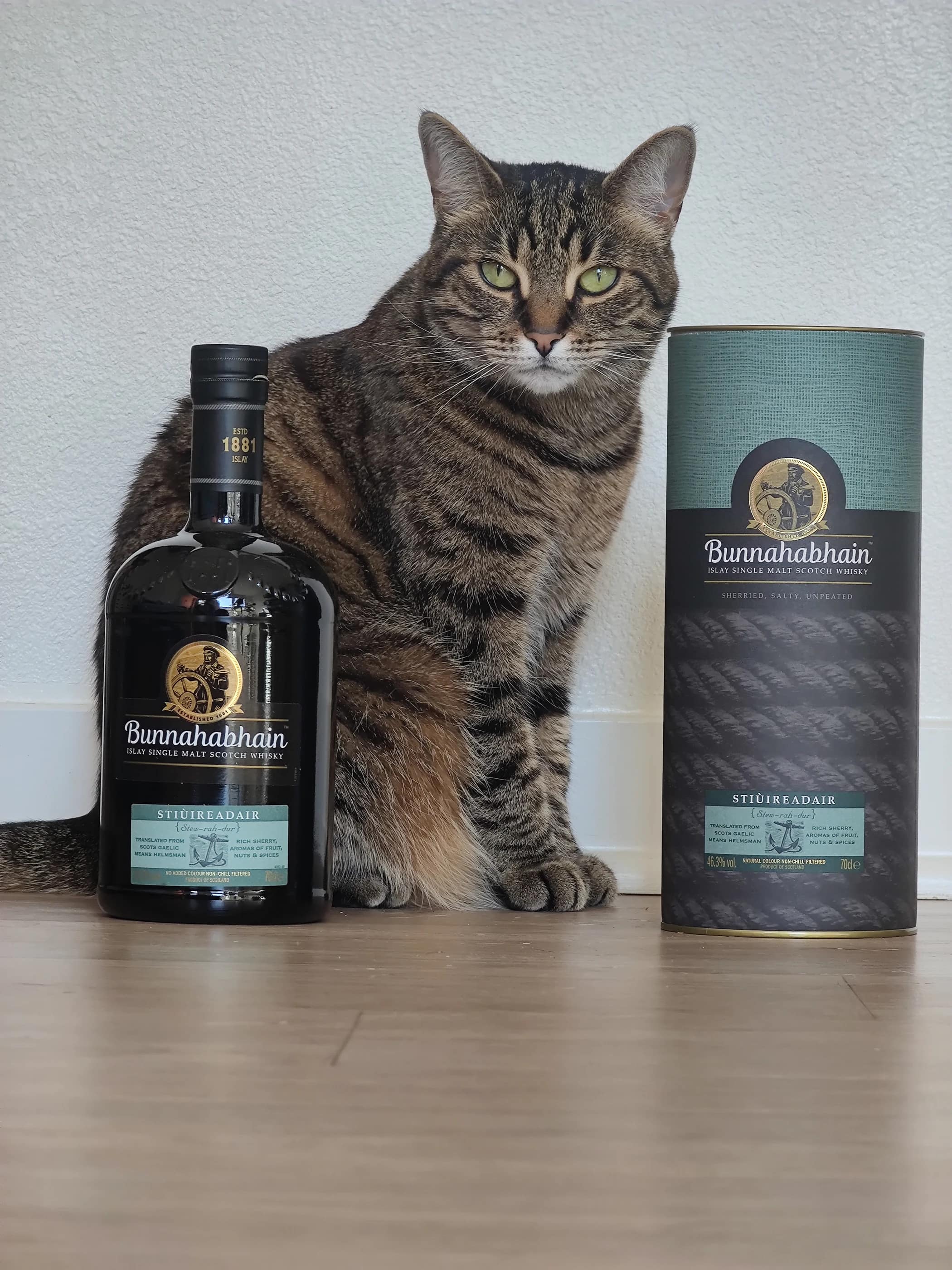 Collection photograph filed under the owner-supplied working label “Stiuireadair”; bottle facts await review.