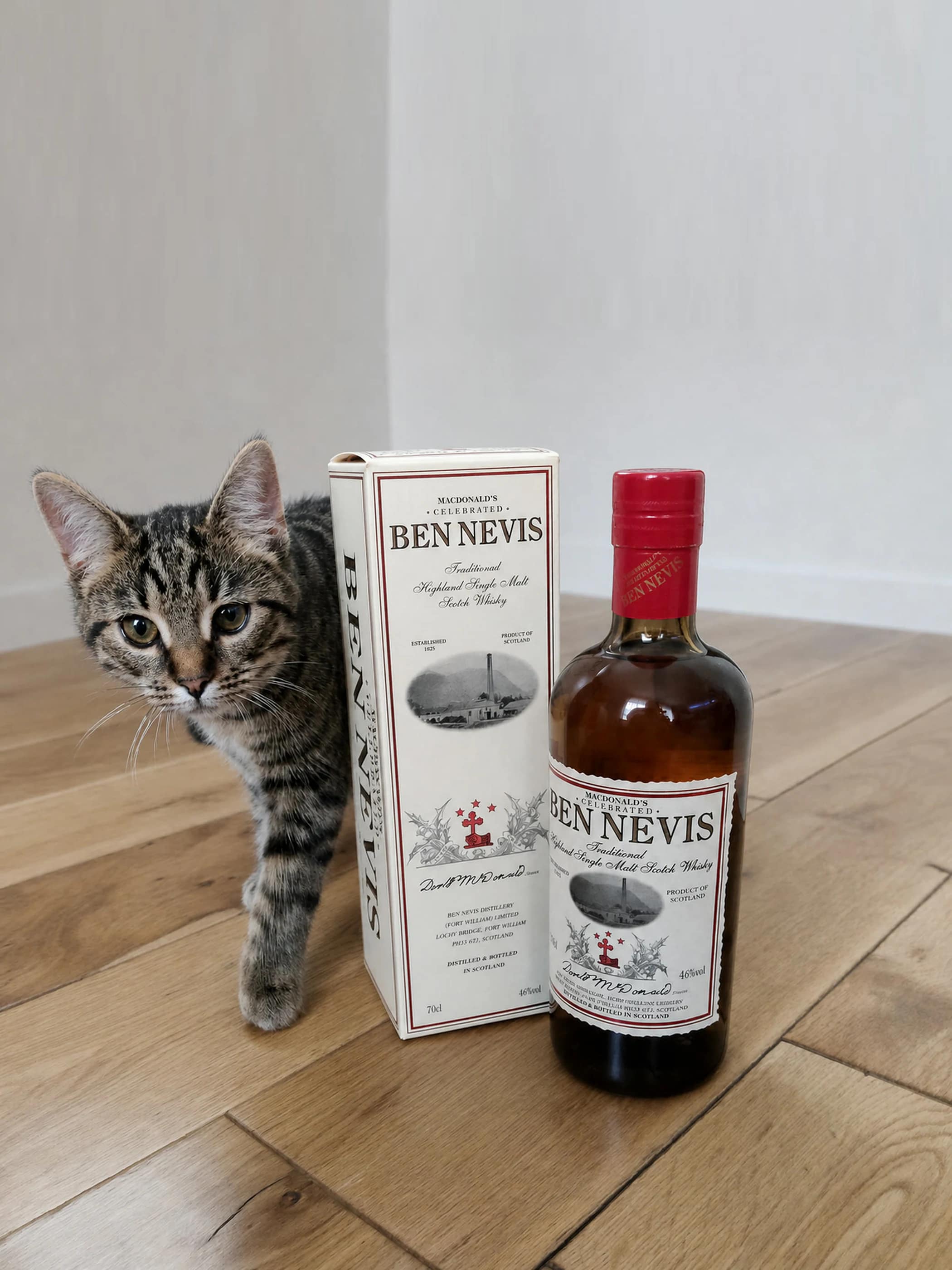 Collection photograph filed under the owner-supplied working label “Ben Nevis”; bottle facts await review.