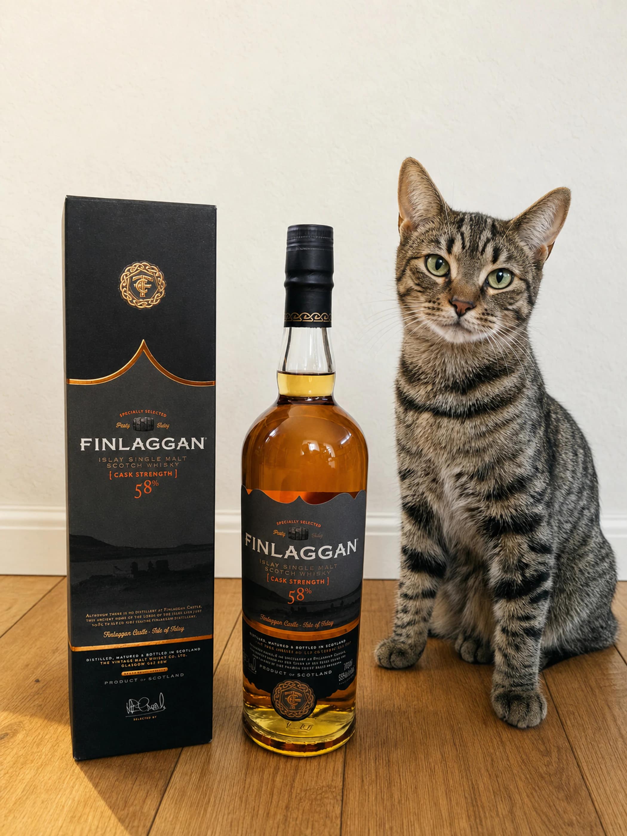 Collection photograph filed under the owner-supplied working label “Finlaggan Cask Strength 58%”; bottle facts await review.