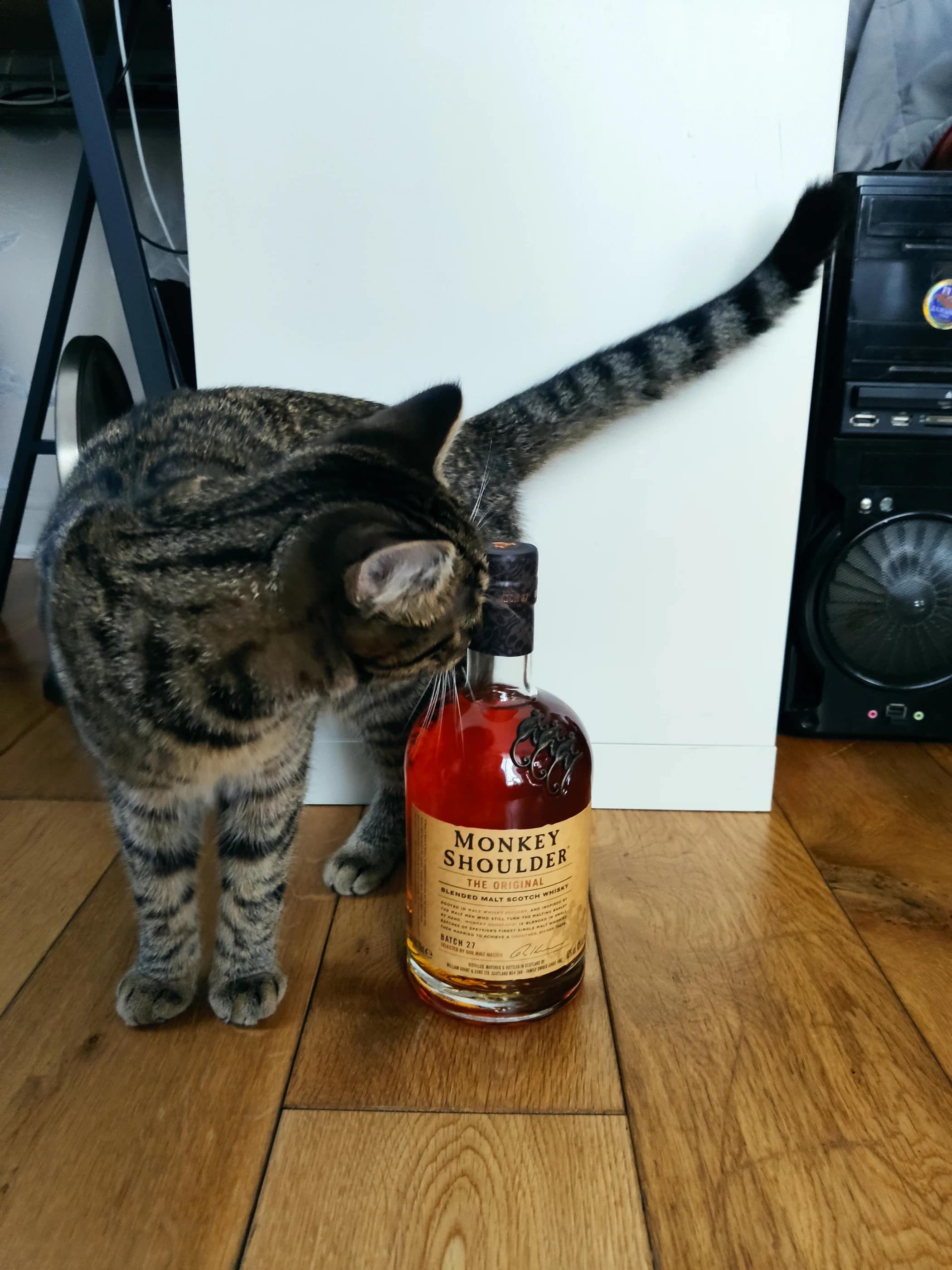 Collection photograph filed under the owner-supplied working label “Monkey Shoulder”; bottle facts await review.