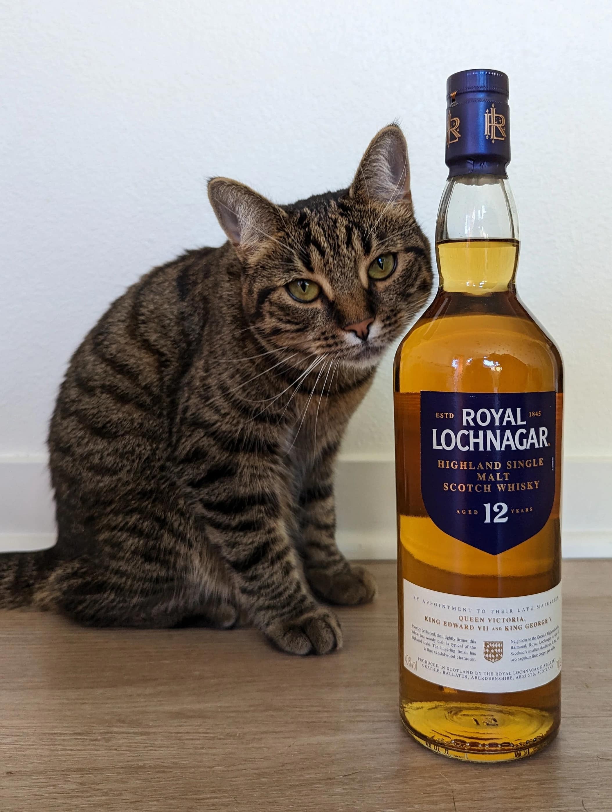 Collection photograph filed under the owner-supplied working label “Royal Lochnagar 12”; bottle facts await review.