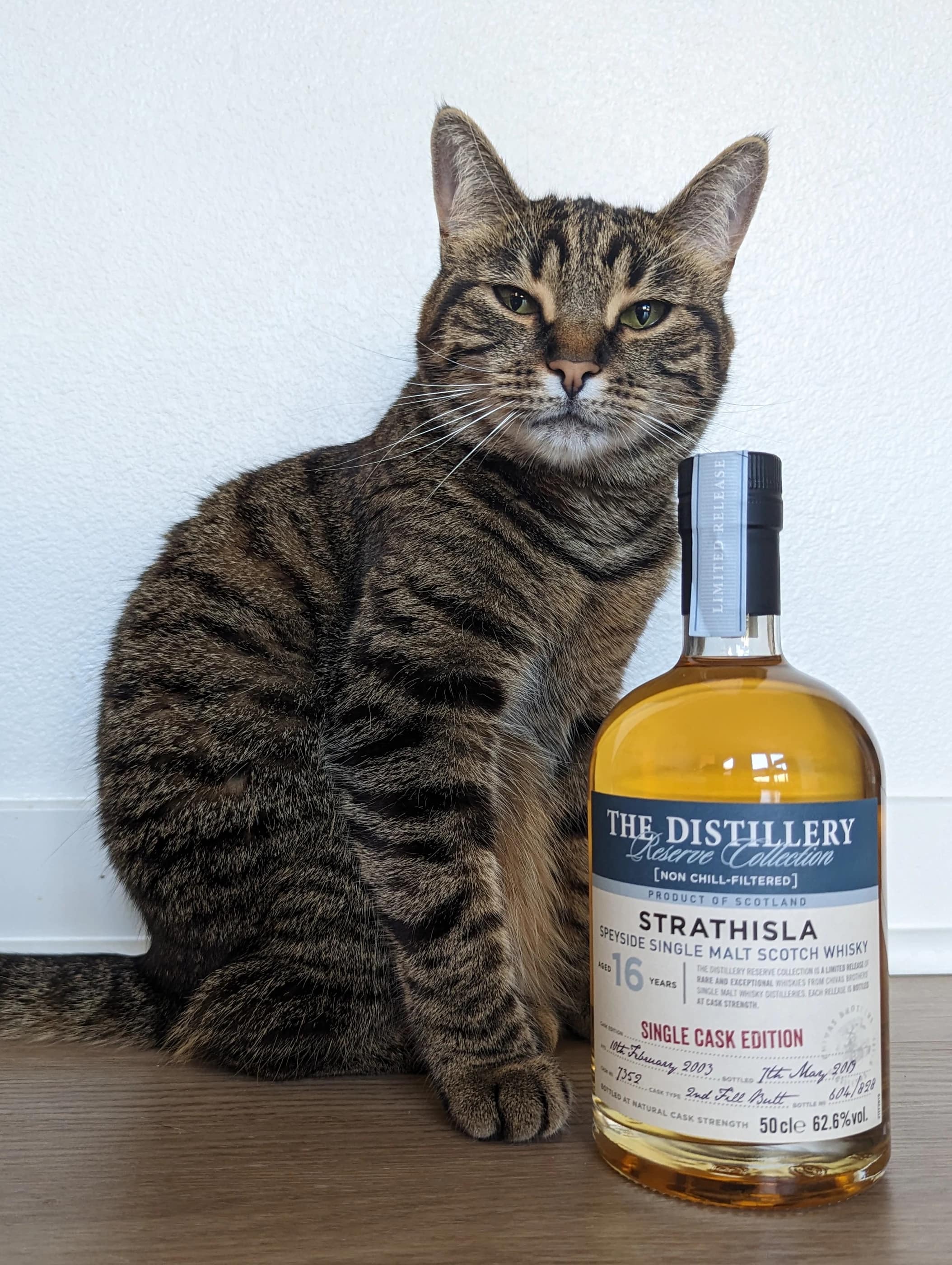 Collection photograph filed under the owner-supplied working label “Strathisla 16”; bottle facts await review.