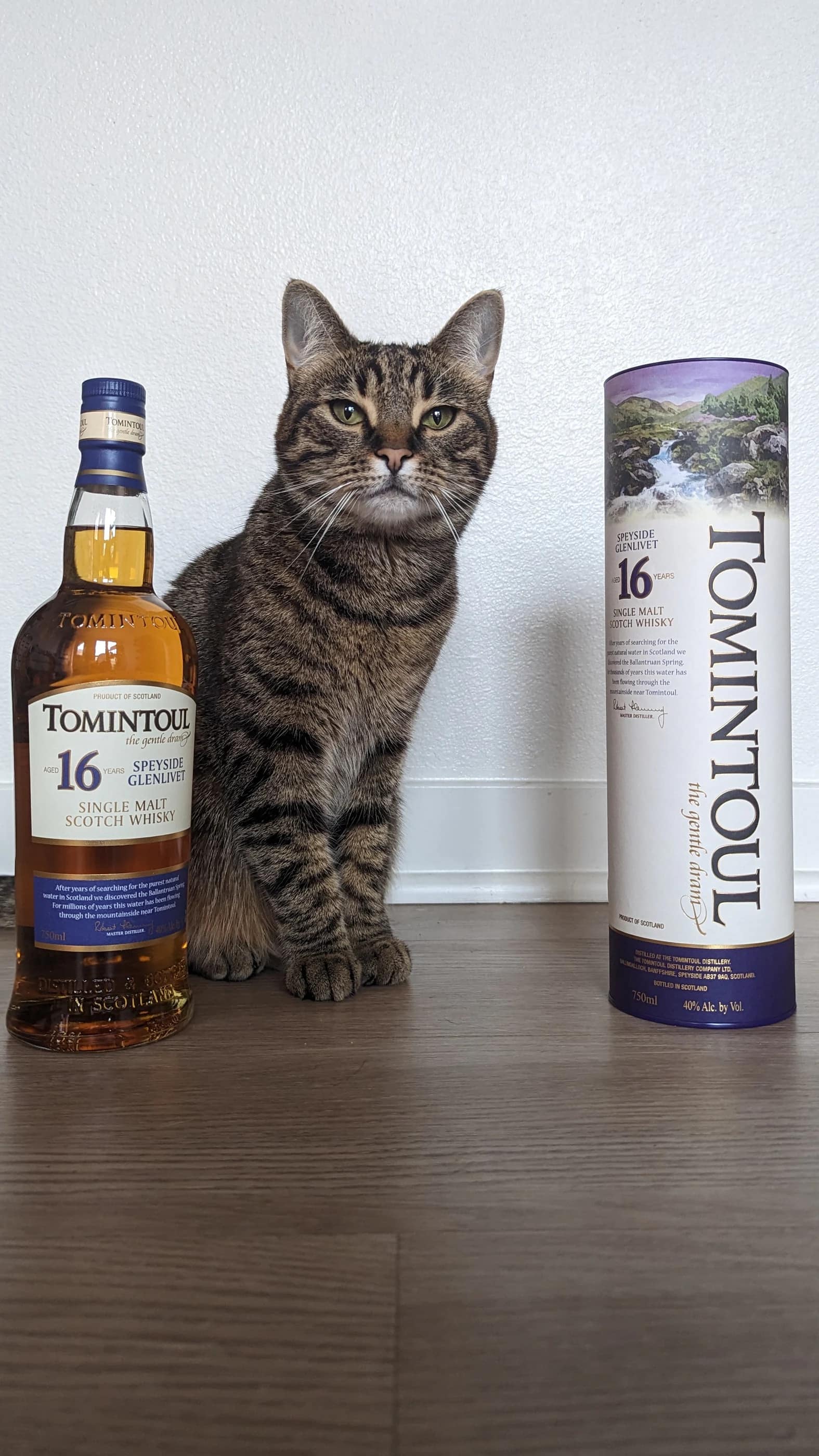 Collection photograph filed under the owner-supplied working label “Tomintoul 16”; bottle facts await review.